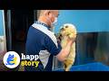 Millions Loved Mizore the Baby Seal - Then His Story Took a Tragic Turn | HAPP