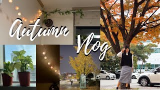 Autumn in Korea Vlog| Diwali Shopping from Daiso| Indian in Korea