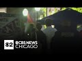 Expert: University of Chicago was right to bring in police to deescalate protest