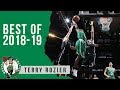 Terry Rozier Highlights 2018/19 NBA Regular Season