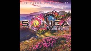 VA-Sonica 10 Years Celebration (Compiled By Gino)