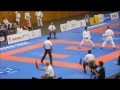 WUC 2016, kumite team male, FRA vs JPN