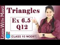 Class 10 Maths | Chapter 6 | Exercise 6.5 Q12 | Triangles | NCERT