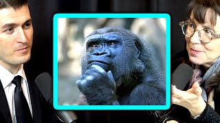 Did the human brain evolve to think? | Lisa Feldman Barrett and Lex Fridman