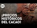 El cacao ya es más caro que el cobre: el precio del chocolate podría aumentar