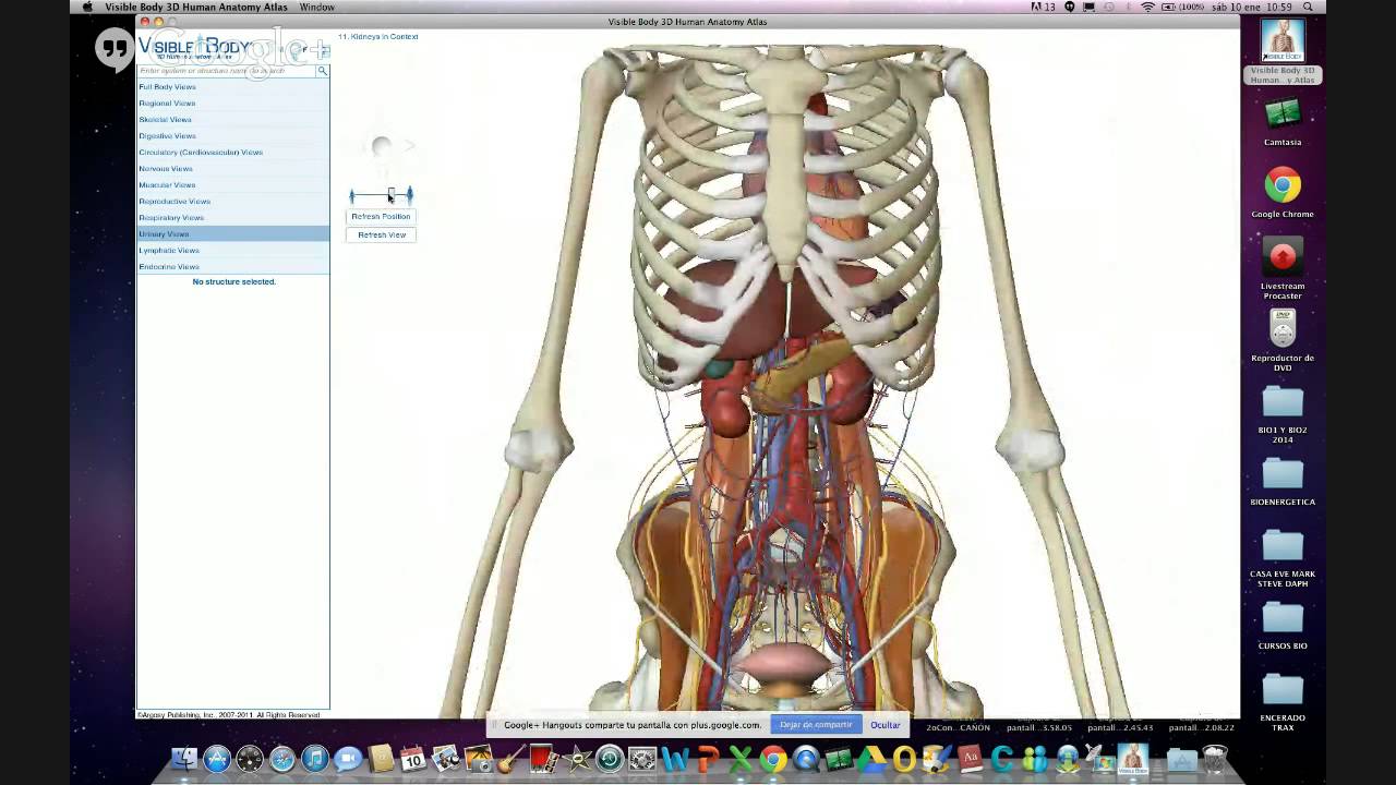 Fisiologia Del Cuerpo