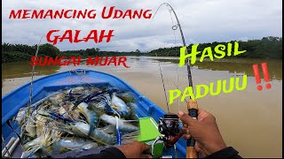 UDANG GALAH BAGAIKAN KELAPARAN⁉️MEMANCING UDANG GALAH SUNGAI MUAR‼️