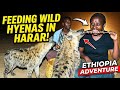 I CANT BELIEVE THIS HAPPENNED IN HARAR#ethiopia 