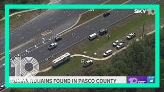 Deputies: Human remains found in Pasco County woods