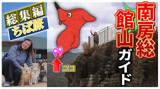 夫婦二人とわんずでゆく館山・南房総車中泊ぶらり旅～房総の激うまグルメに舌鼓、館山・南房総絶景スポットに行ってみた【総集編】