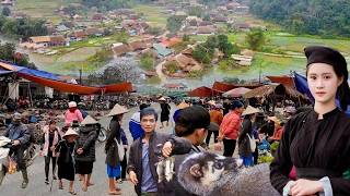 Chợ Phiên ở Biên Giới Vị Xuyên Hà Giang Đặc Biệt - Mộc Mạc Bình Yên - Bán Nhiều Đồ Rừng & Dược Liệu