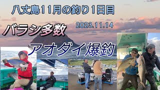 八丈島釣り11月14日。１日目、餌釣、泳がせ、ジギングいろいろやってます。今回は６名ジグ専門2人しゃくり倒していますが～