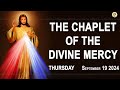 Chaplet of the Divine Mercy I Thursday September 19 2024 I Divine Mercy Prayer I 12.00 PM