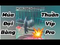 MS 4234 Thuần Víp / lên tiếp em khướu mun thuần víp hót múa dang cánh đại bàng víp pro. 3400k