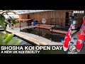 Shosha Koi Open Day - New UK Koi Facility