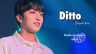 Waterfire Live in Japan: Ditto — Sunyoul focus (2024.09.27 2부 FanCam)