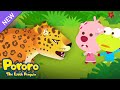 Pororo Amazon Adventure | The King of the Jungle, Jaguar | Kids Animation & Cartoons