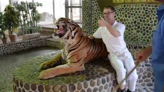Thailand's Tiger Tourism - A view from the inside