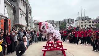 Chinese New Year Lion Dance @ Fanling Pang’s Village