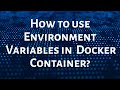 How to Use Environment Variables in a Docker Container | Step-by-Step Guide