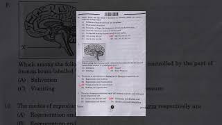 Cbse Class 10 Science Set 1 Question Paper 2025 Class 10 Science Set 1