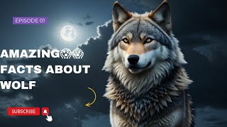Unbelievable Wolf Facts You Never Knew!😱😱