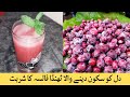 Falsa ka sharbat by food Fusion family recipes