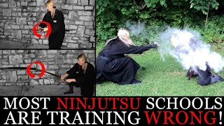 Why Most NINJUTSU Schools Are Training WRONG! | Ninja Martial Arts (Ninpo)