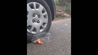 Experiment Car Watermelon vs Jelly | Crushing Crunchy & Soft Things by Car #cargame #kidsvideos