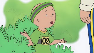 Caillou Maratonu Yönetiyor | Caillou Klasikleri | Caillou Türkçe - WildBrain