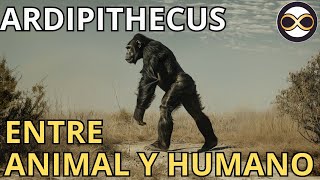 La Evolución de mono a humano - ARDIPITHECUS