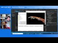 What's New in Visual Basic on .NET 5?