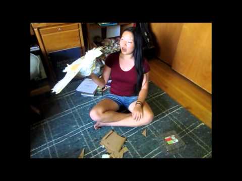 How to Make a Paper Mache Bird + Conserve How to Make a Paper Mache Bird + Conserve