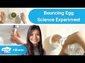 Bouncing Egg Science Experiment