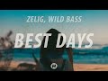 Zelig & Wild Bass - Best days (Lyric Video)