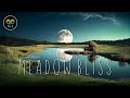 Meadow Bliss 🌙 Beautiful & Calming Delta Dream Music • Moonlit Meadow Sleepscape