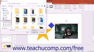 PowerPoint 2016 Tutorial Using Picture Tools Microsoft Training