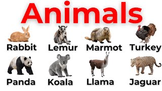 100 Animals Name | Learn Animals names |Animals in English| English Vocabulary