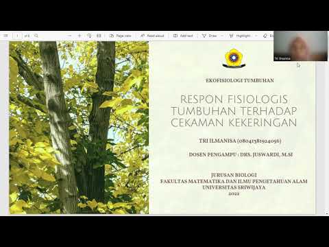 RESPON FISIOLOGIS TUMBUHAN TERHADAP CEKAMAN KEKERINGAN - YouTube