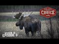 Yukon Moose Mania Action! - Archer’s Choice (Full Episode) // S16: Episode 3