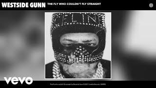Westside Gunn - The Fly who couldn't Fly straight (Audio)