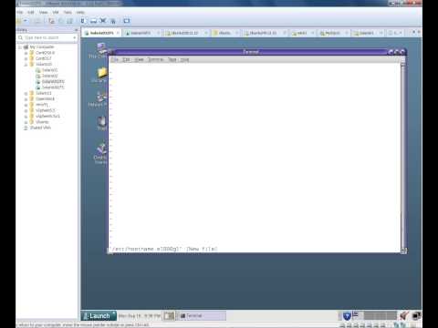 Solaris 10 IPMP Link Based Solaris 10 IPMP Link Based