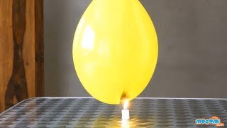 Fire Water Balloon - Cool Science Experiment | Educational s by Mocomi Kids