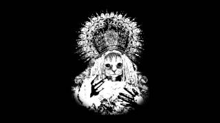 Mr.Kitty - Neverending Nights