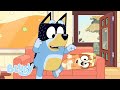 Full Bluey Minisodes - Part 1 💙 | Bingo 3000, Three Pigs, Hungry, and Animals | Bluey