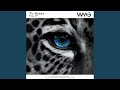 Leopard (Radio Mix)