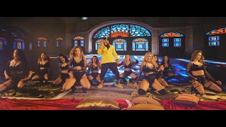Dani Mocanu 🦁 Stop Romania 🛑 | Official Video