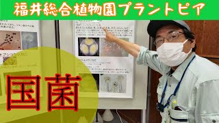 役に立つカビやバクテリア　発酵食品・真核生物・酵母・コロニー　福井県越前町立福井総合植物園プラントピア