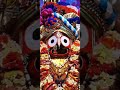 🌻Bada danda🌪️ dhuli uduchhi Jagannath 🙏 Bhajan💘 song special whatsapp status video .