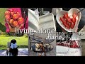 vlog: living alone at 24| kitchenware haul, laundry day, solo picnic, car wash, braai & rugby + more